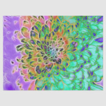 PåfågelChrysanthemum