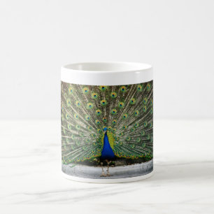 påfågeldesign kaffemugg