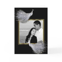 Påfågelelegans i svarten, guld, vittack