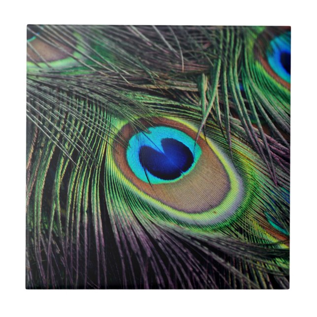 PåfågelfågelPeafowl Kakelplatta (Framsidan)