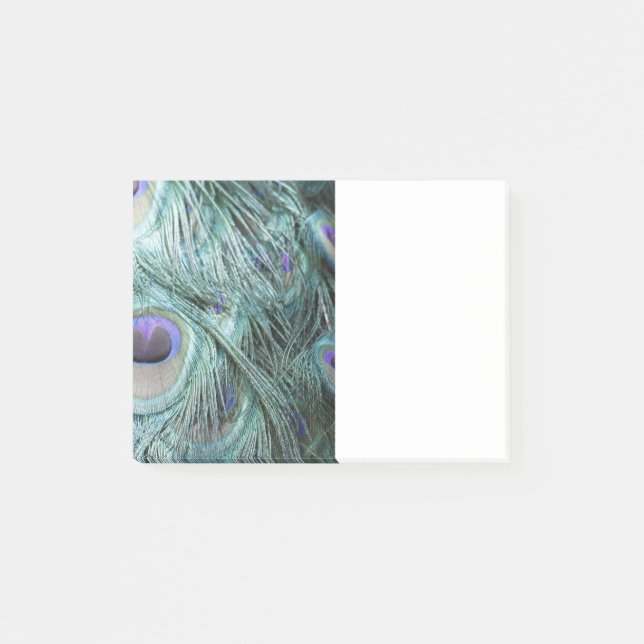 påfågelfeathers. post-it block (Framsida)