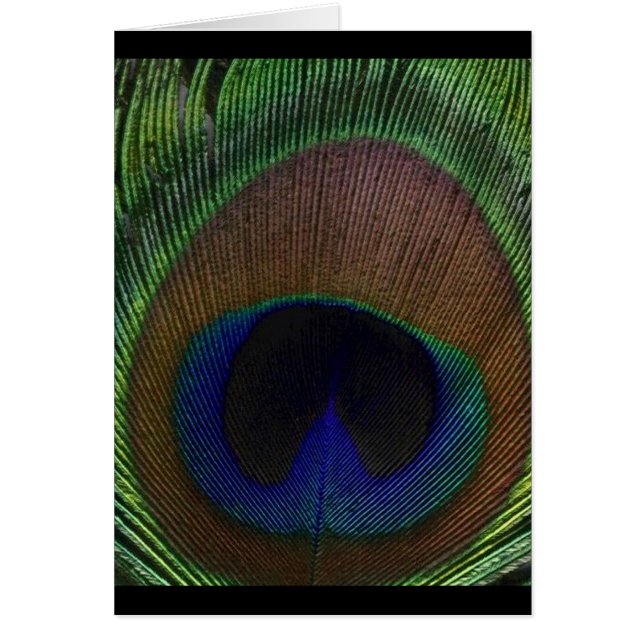 Påfågelfjäder Hälsningskort (Framsidan)