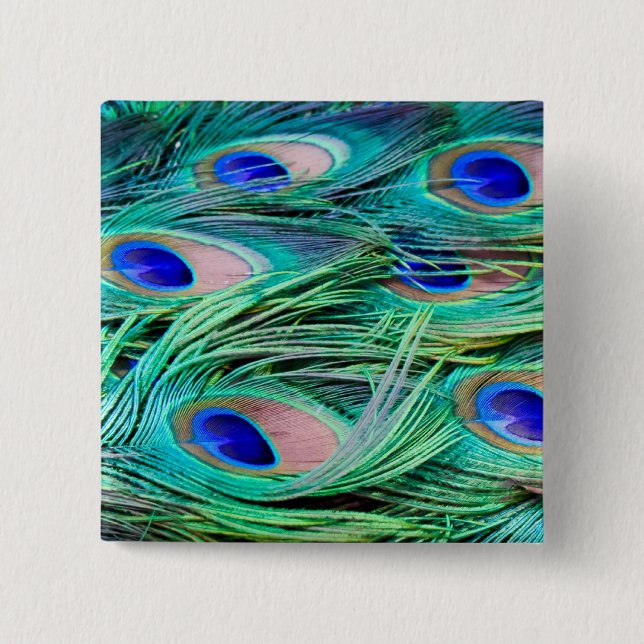 Påfågelfjädrar Knapp (Framsida)