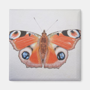 Påfågelfjäril 2012 magnet