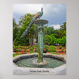 Påfågelfontän- & roträdgården i vinter parkerar FL Poster