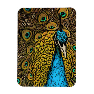 Påfågelglansillustration Magnet