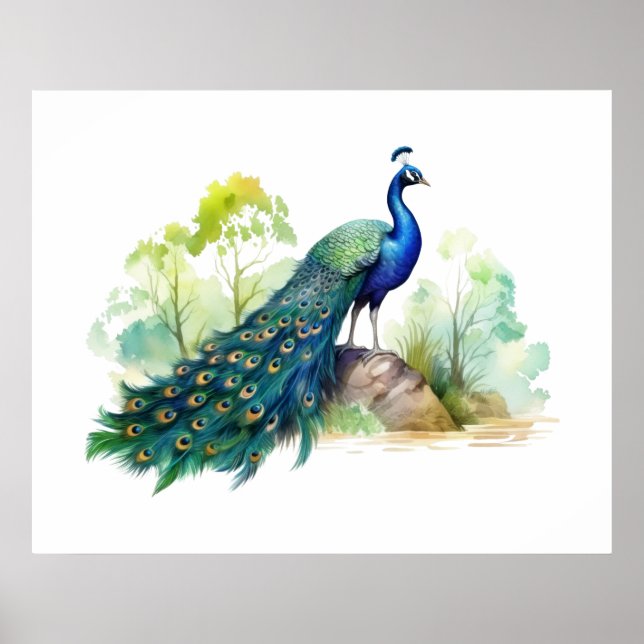  Påfågelillustration	   Poster (Framsidan)