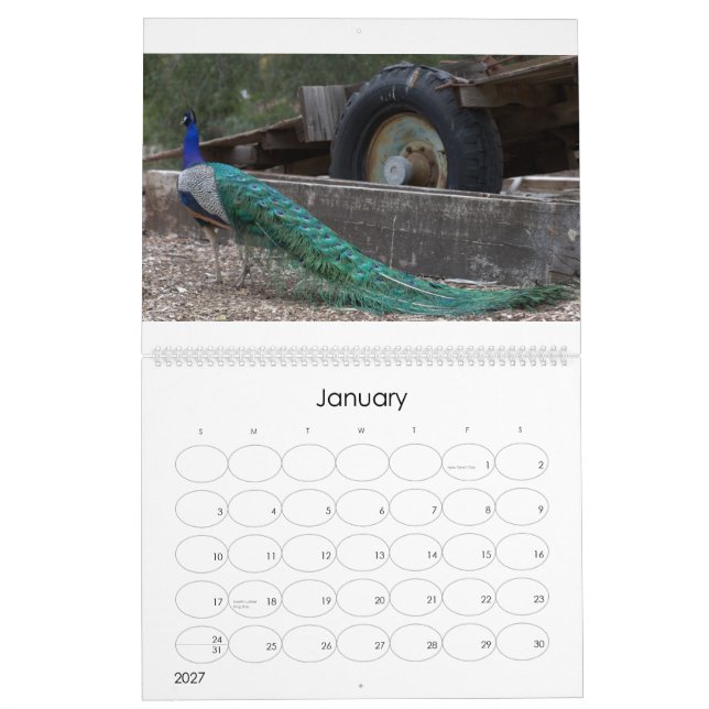 Påfågelkalender Kalender (Jan 2027)