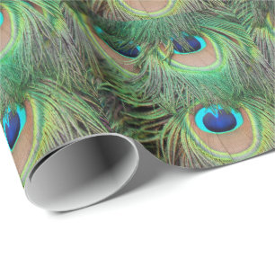 Påfågeln befjädrar slående in papper 3 presentpapper