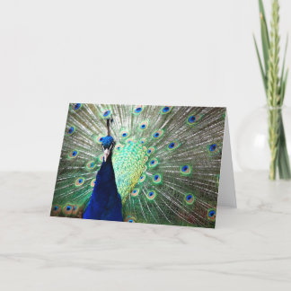 Påfågeln noterar kortet kort