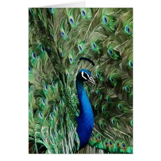 Påfågeln noterar omsorg hälsningskort (Framsidan)