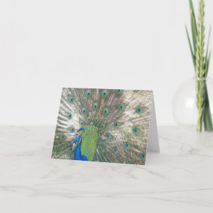 Påfågelnotecards Kort