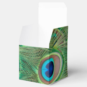 Påfågelplumage Presentaskar