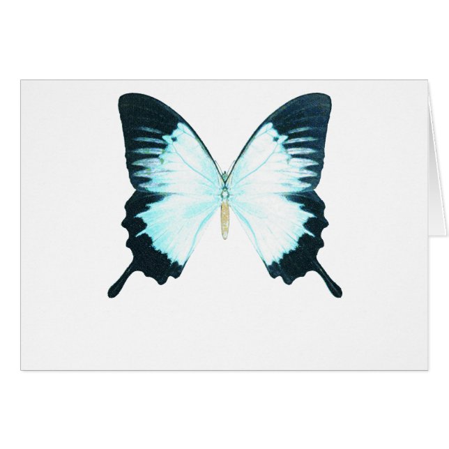 Påfågelroyalfjäril Hälsningskort (Framsidan Horizontal)