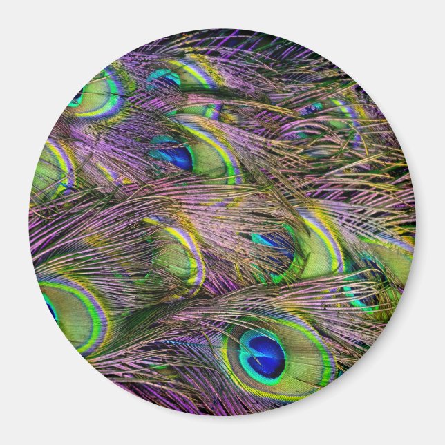 Påfågelsfjäder  magnet (Framsidan)