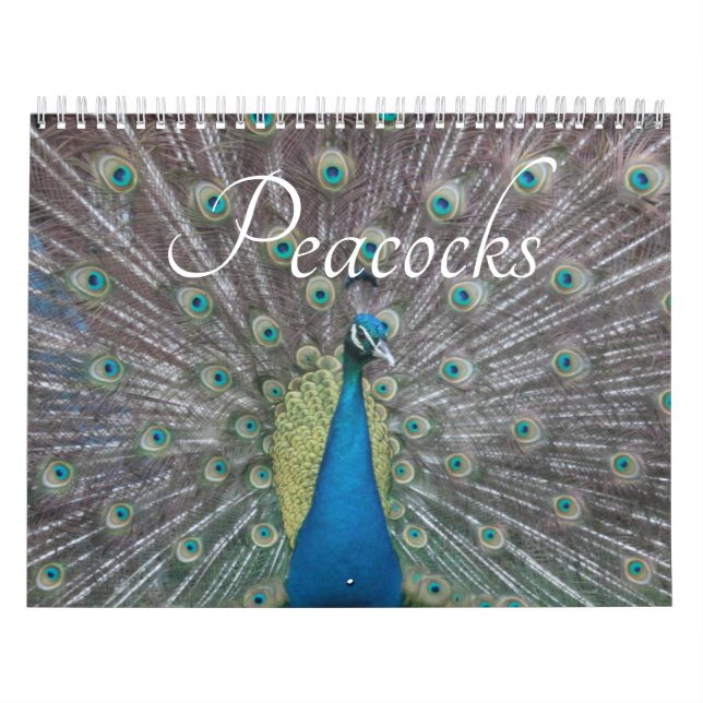 Påfågelskalender Kalender (Omslag)