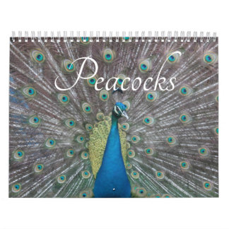 Påfågelskalender Kalender