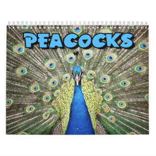 Påfågelväggkalender Kalender