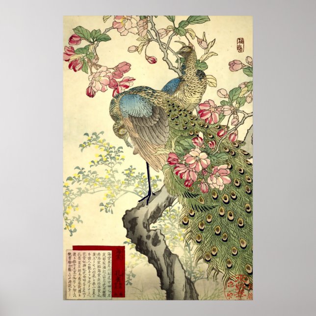 Påfåglar & japanskt äppelträd Vintage japanska Poster (Framsidan)