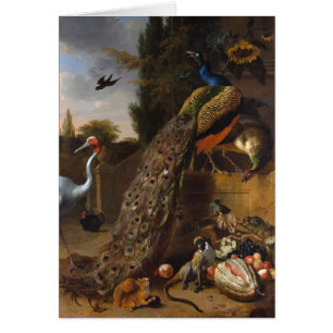Påfåglar - Melchior d Hondecoeter Hälsningskort