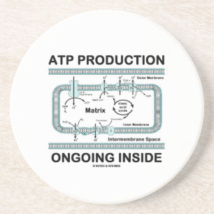Pågående insida för ATP-produktion (Mitochondri Underlägg