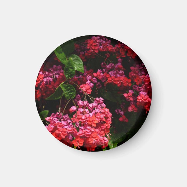 Pagoda Flowers Colorful Red and Rosa Magnet (Framsidan)