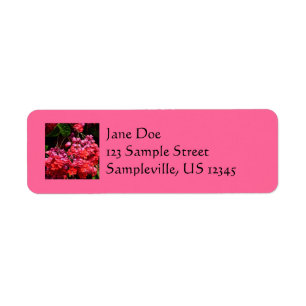 Pagoda Flowers Colorful Red and Rosa Returadress Etikett
