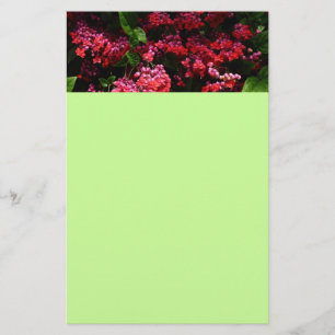 Pagodblommor Färgglada Röda och Rosa Brevpapper