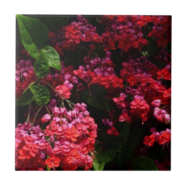 Pagodblommor Färgglada Röda och Rosa Kakelplatta (Framsidan)