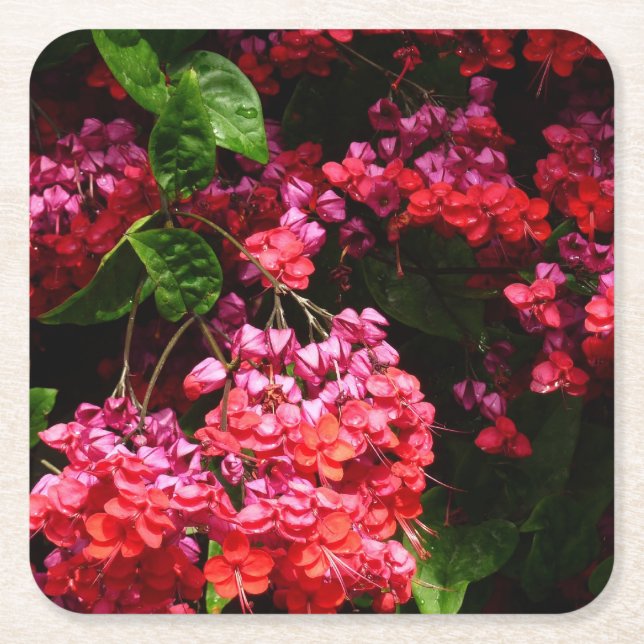Pagodblommor Färgglada Röda och Rosa Underlägg Papper Kvadrat (Framsidan)