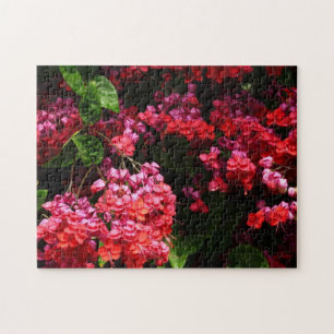 Pagodblommor Färgrika Röda och Rosa Pussel
