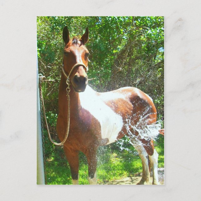 Paint Bath Vykort (Framsida)