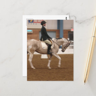 Paint Horse 134 vid ett hästbildspel Vykort