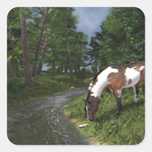 Paint Horse by Forest Stream Fyrkantigt Klistermärke