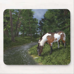 Paint Horse by Forest Stream Musmatta