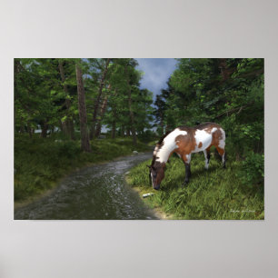 Paint Horse by Forest Stream Poster