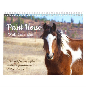 Paint Horse Calendar 2025 Animal Photography Kalender