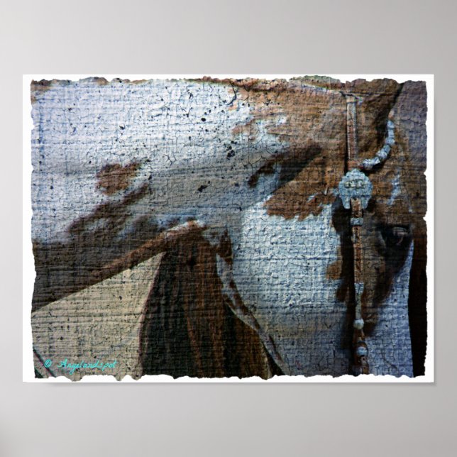 Paint Horse Crackle Poster (Framsidan)
