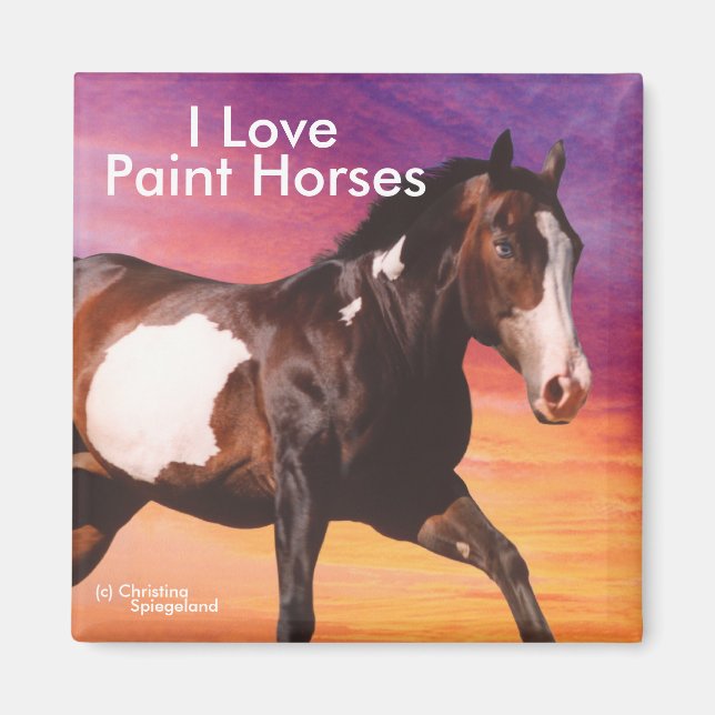 Paint Horse galloping sunrise Magnet (Framsidan)