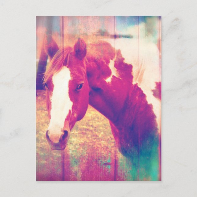 Paint Horse Grunge Vykort (Framsida)