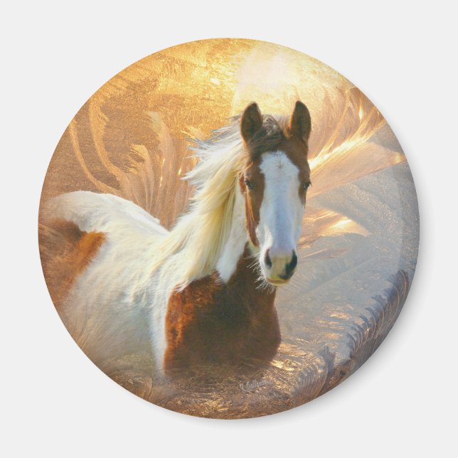 Paint Horse Guld Magnet (Framsidan)