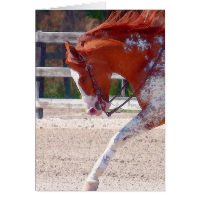 Paint Horse Hälsningskort (Framsidan)