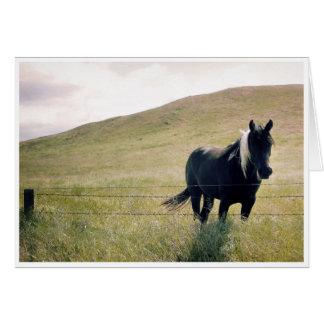 Paint Horse Hälsningskort