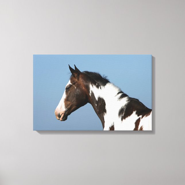 Paint Horse Headshot 1 Canvastryck (Framsida)