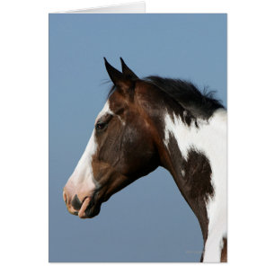 Paint Horse Headshot 1 Hälsningskort