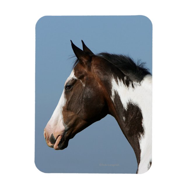 Paint Horse Headshot 1 Magnet (Vertikal)