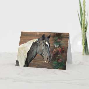 Paint Horse Julkort Tack Kort