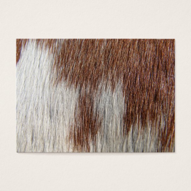 Paint Horse Mönster Visitkort (Framsidan)