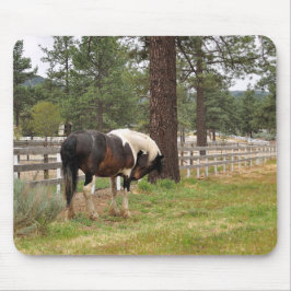 Paint Horse Mousepad Musmatta