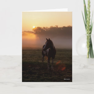 Paint Horse på Mist vid soluppgång Kort